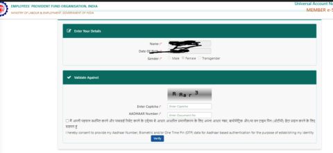 Hrms Software Guides Hrone