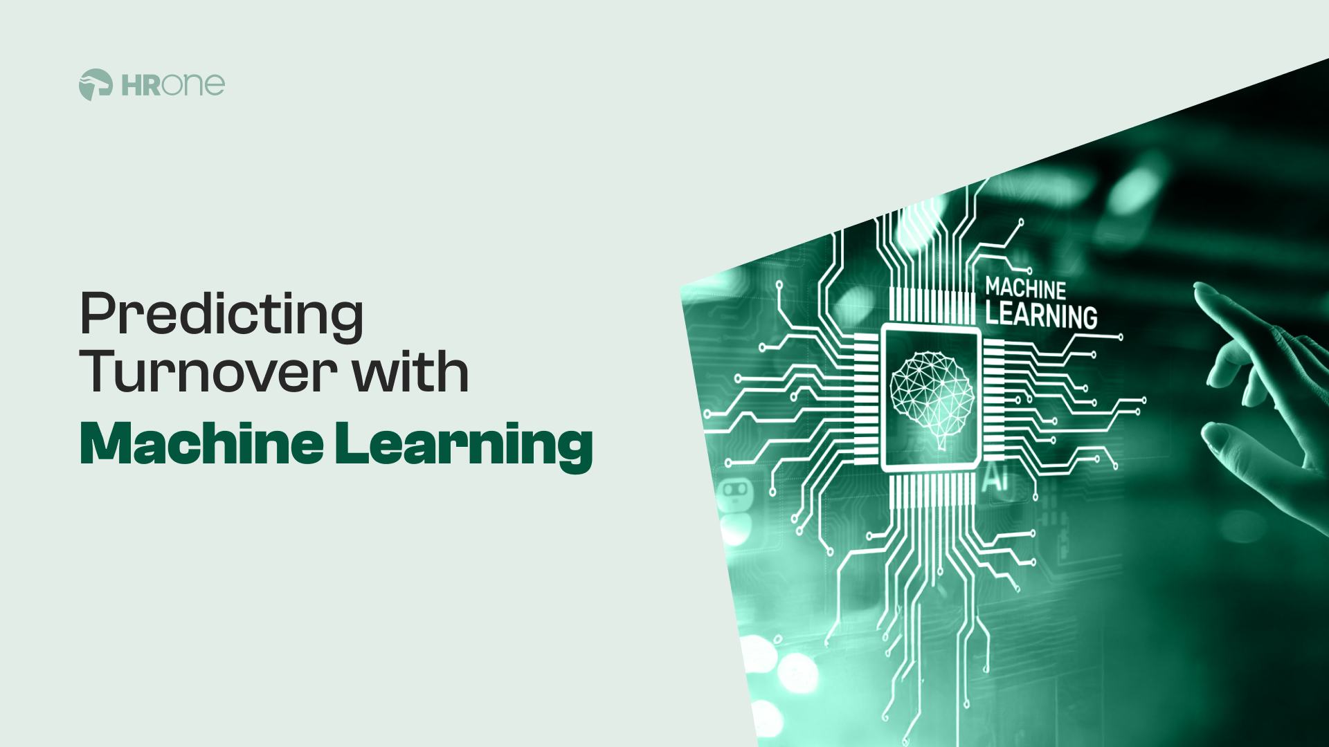What Is The Role Of Machine Learning In Predicting Employee Turnover? | Quick Guide For Hrs