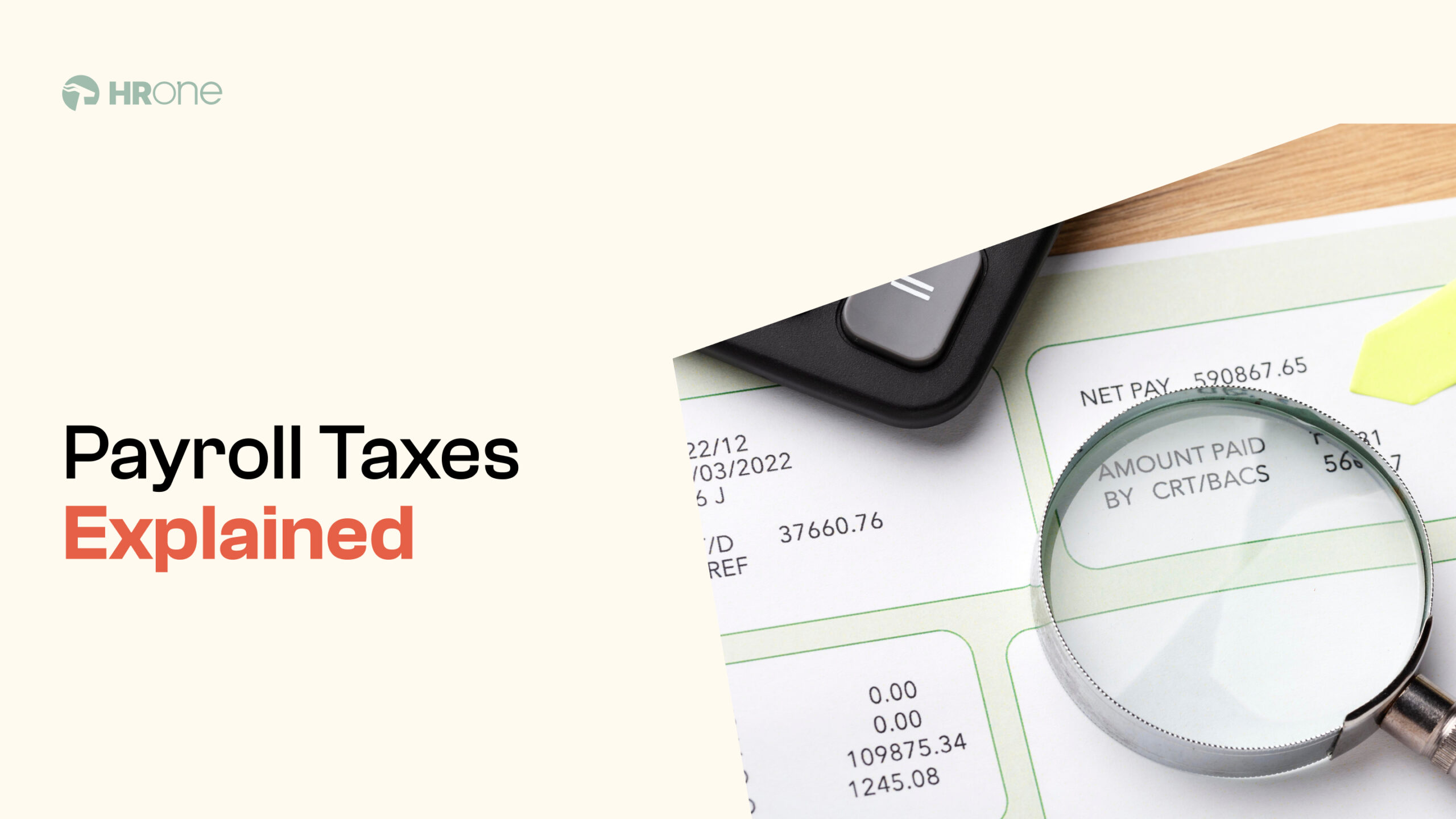 What Are Payroll Taxes And How To Calculate?